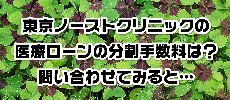 東京ノーストクリニックの医療ローンの分割手数料は?問い合わせてみると…